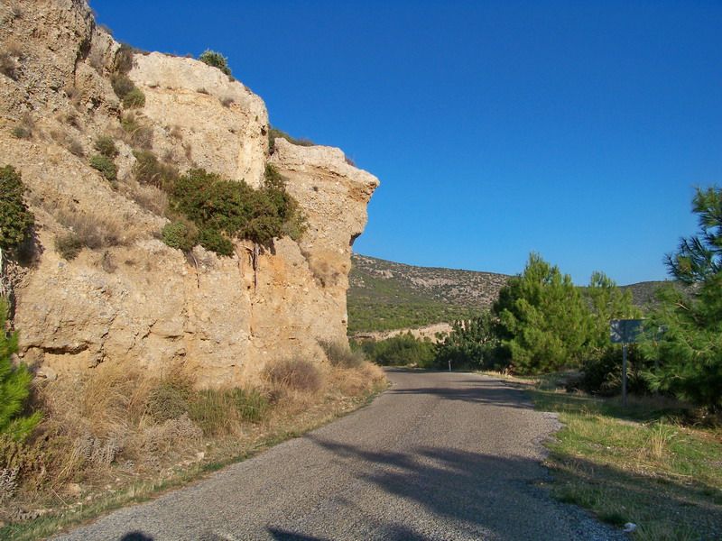 100_9032_resize.jpg
