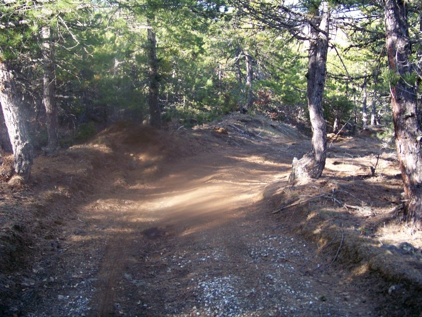 100_9085.JPG