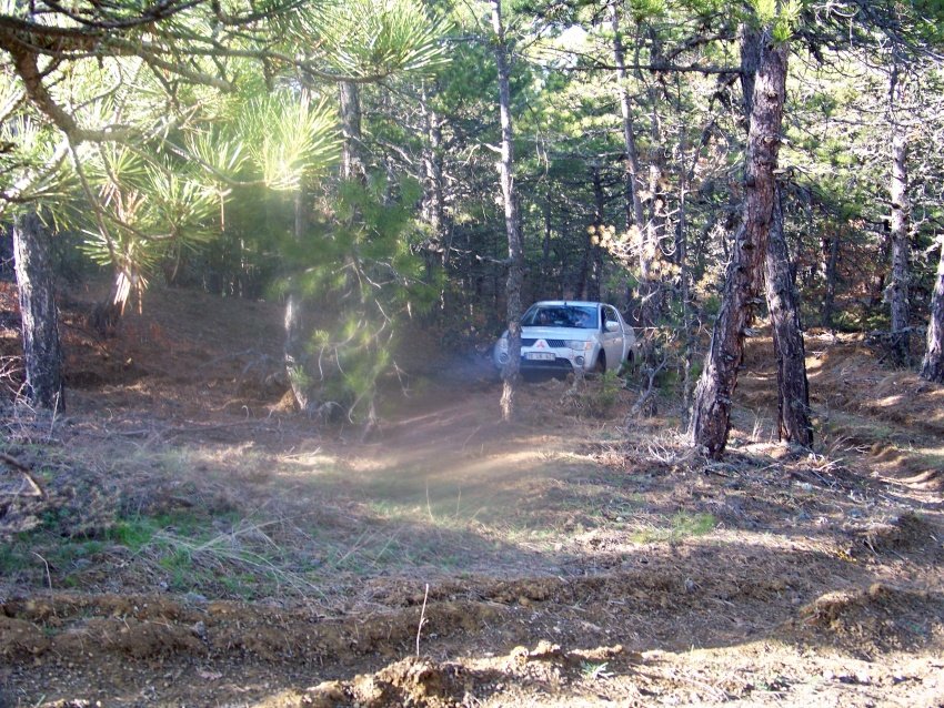 100_9087.JPG