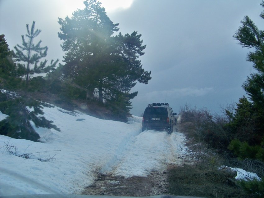 100_9095.JPG