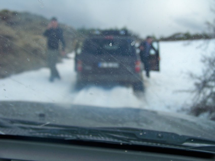 100_9099.JPG