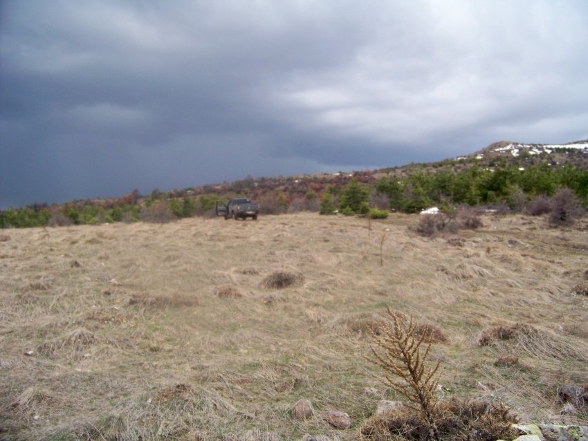 100_9101.JPG