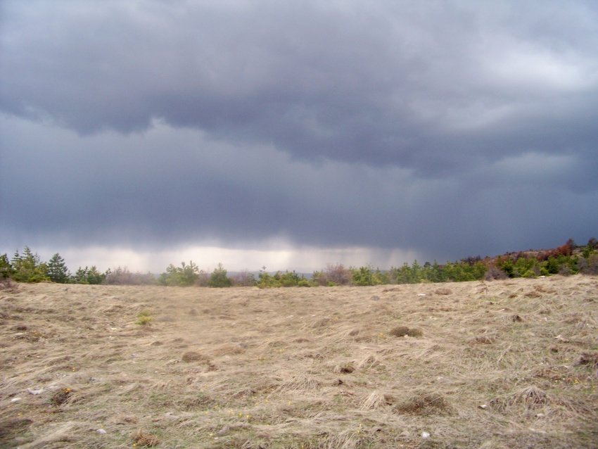 100_9102.JPG