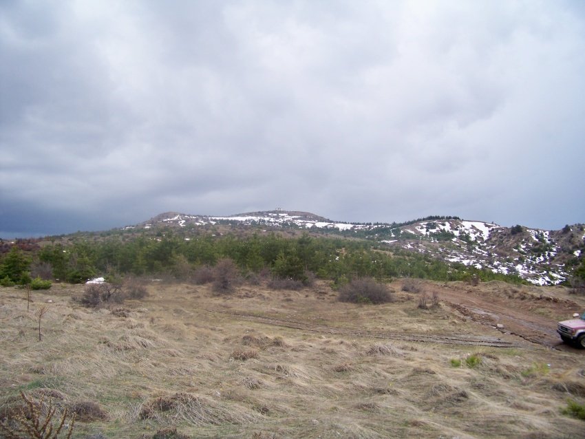100_9103.JPG