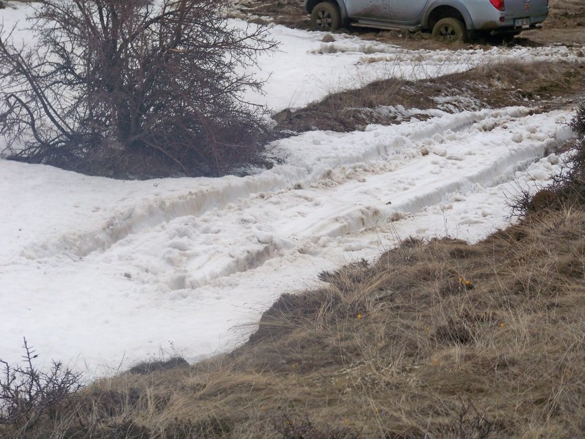 100_9105.JPG