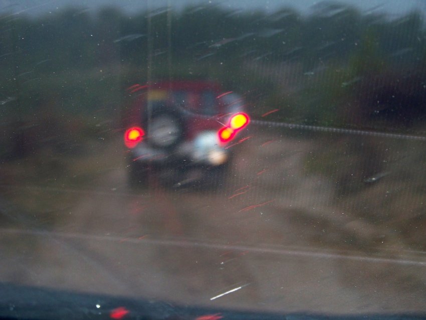 100_9119.JPG