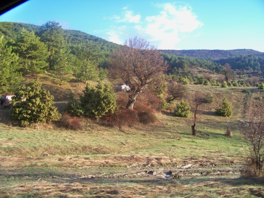 100_9123.JPG