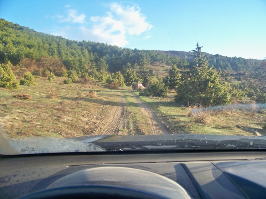 100_9124.JPG