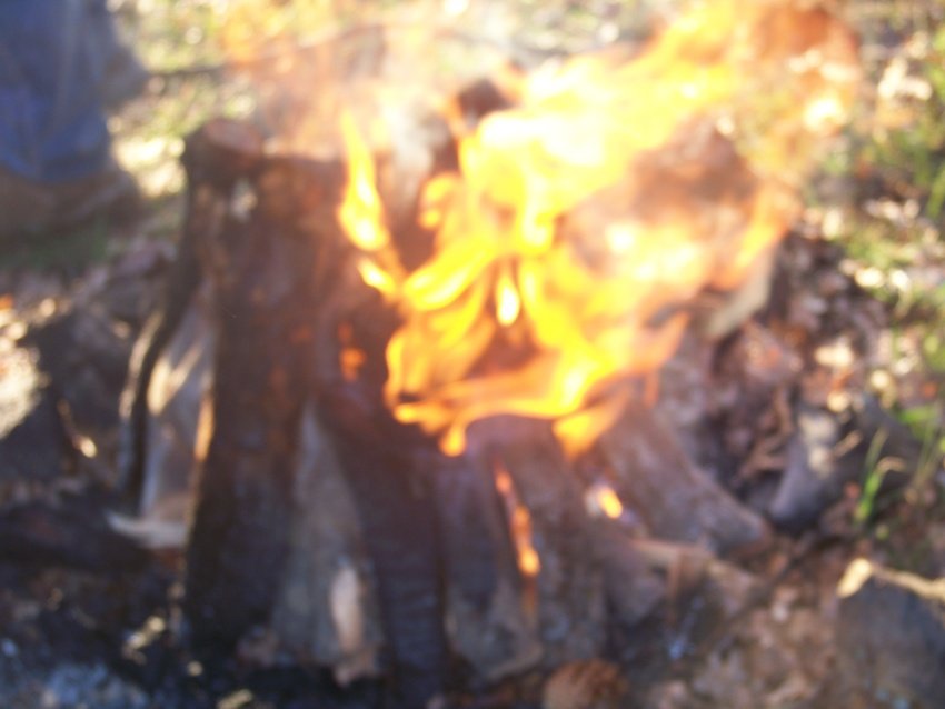 100_9137.JPG