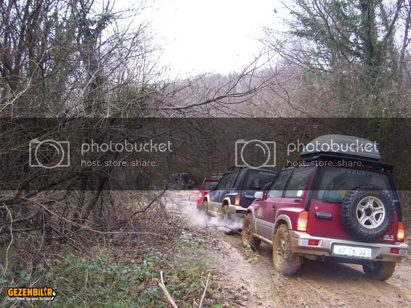 100_9311Medium.jpg