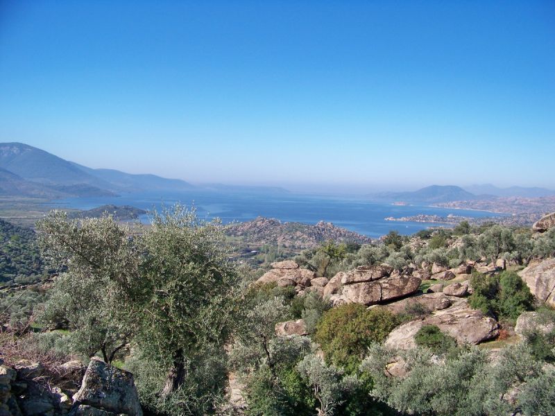 100_9321_resize.jpg