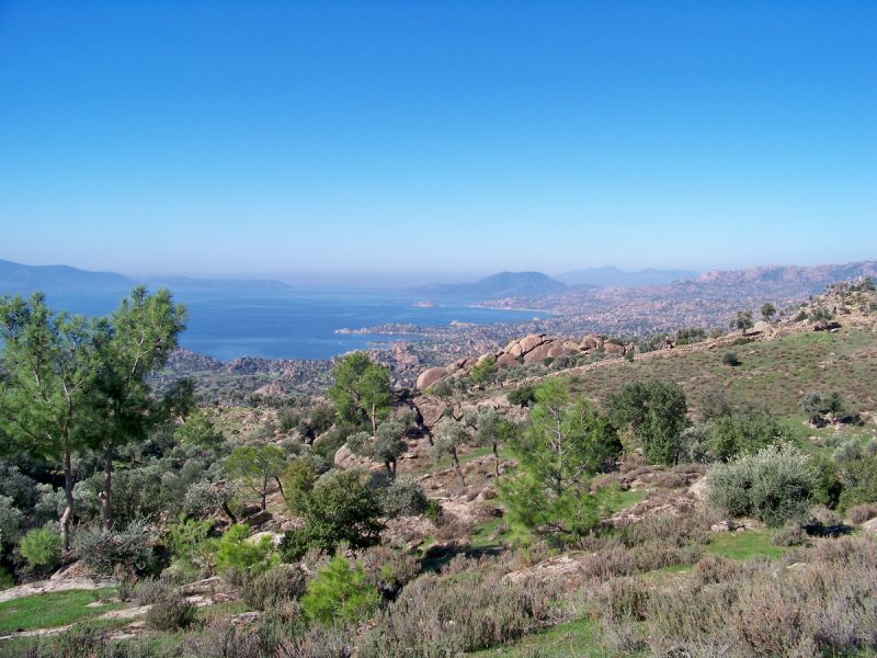 100_9329_resize.jpg