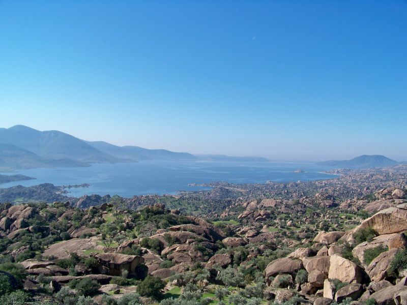 100_9379_resize.jpg