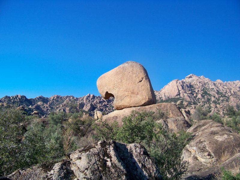 100_9467_resize.jpg