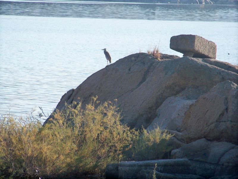 100_9482_resize.jpg