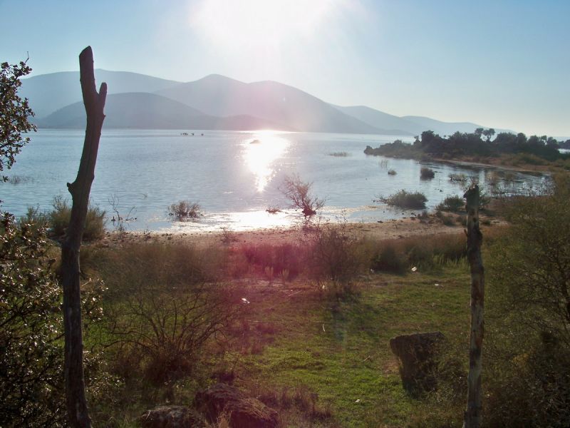 100_9483_resize.jpg