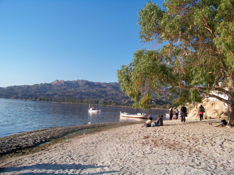 100_9488_resize.jpg