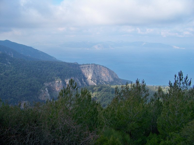 100_9805_resize.jpg