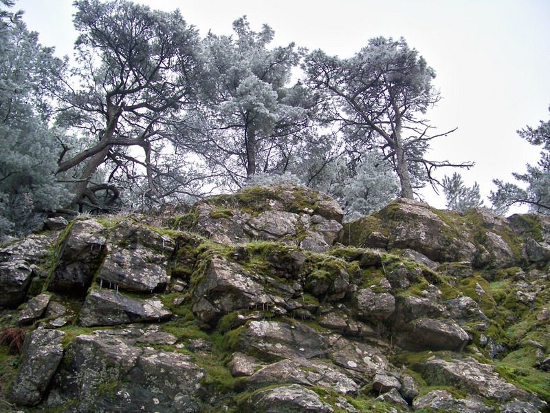 100_9856_resize.jpg