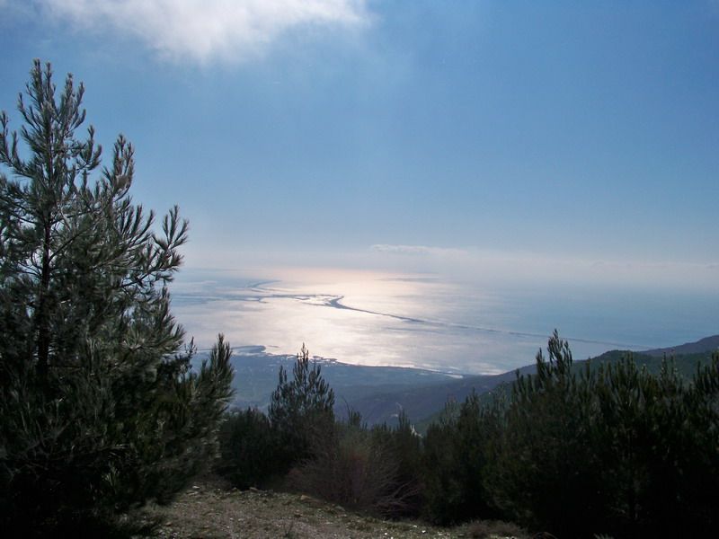 100_9903_resize.jpg