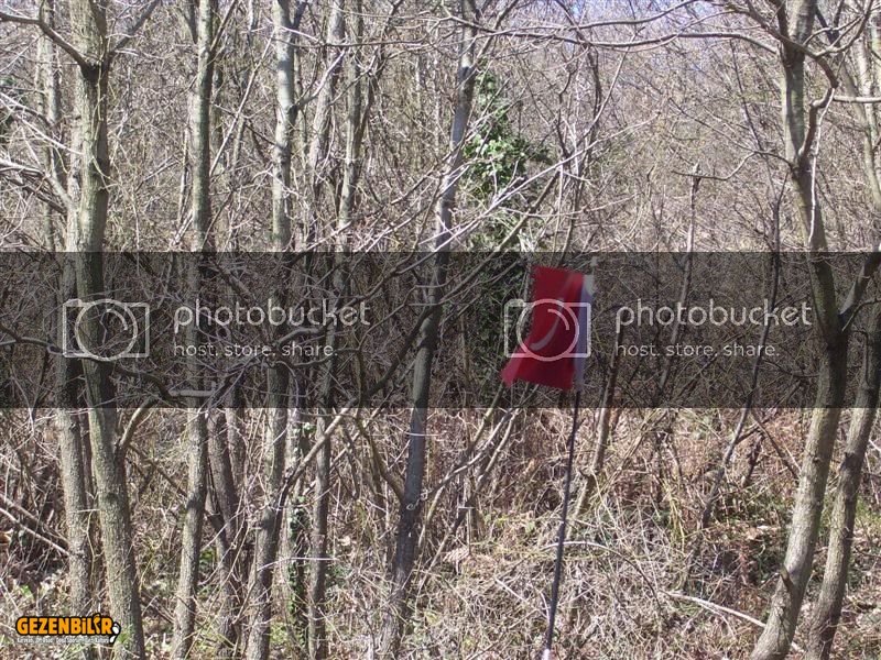 100_9972Medium.jpg