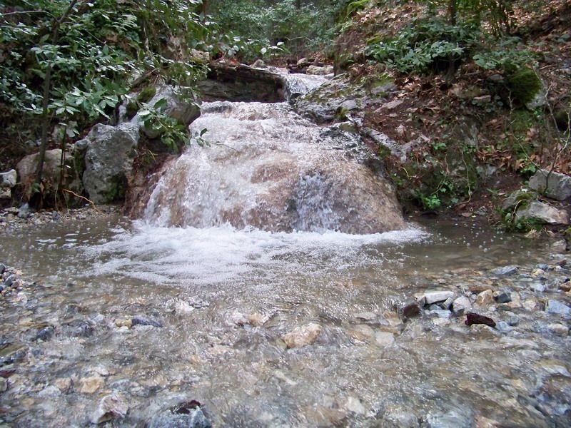 100_9991_resize.jpg
