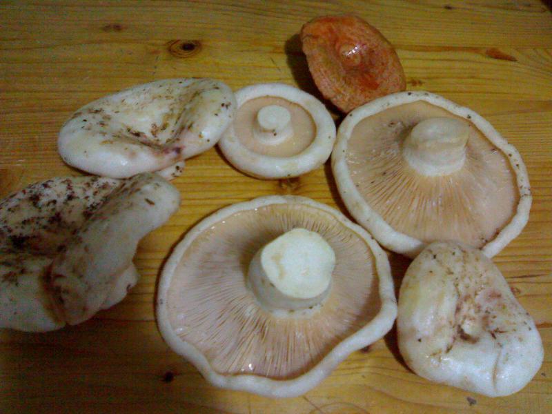 10102009(001).jpg
