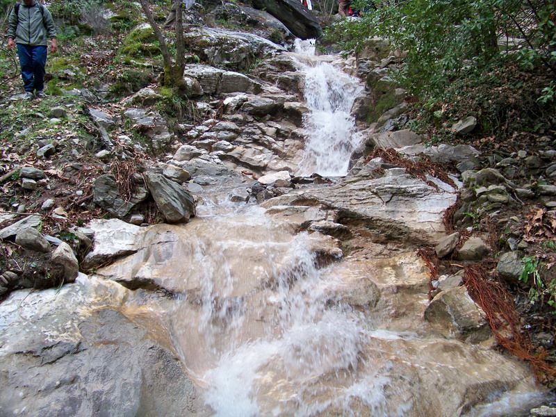 101_0010_resize.jpg