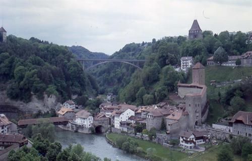 103_246.jpg