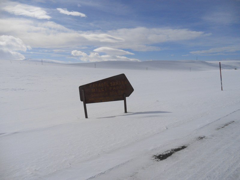 105.jpg