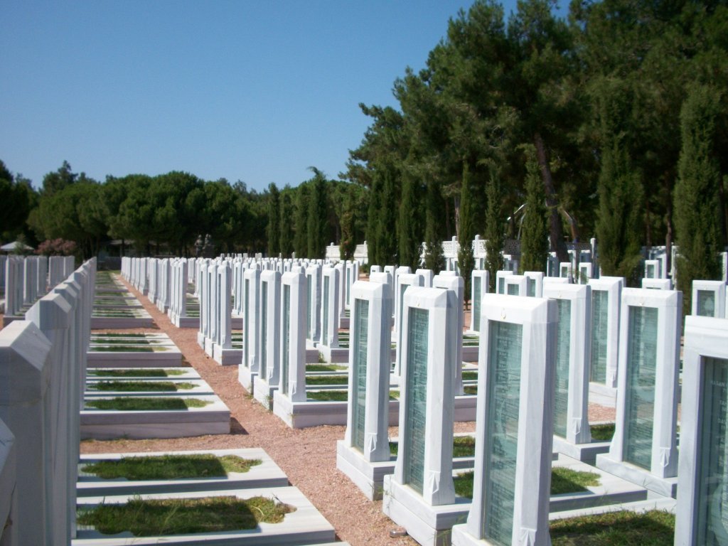 105.JPG