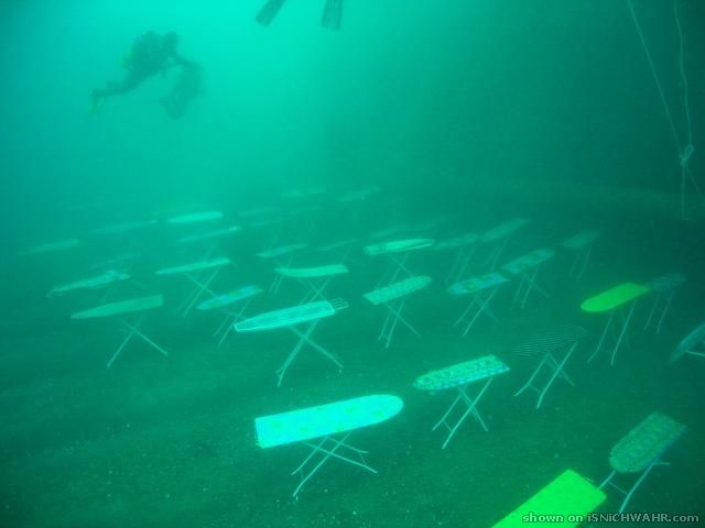1072324.jpg