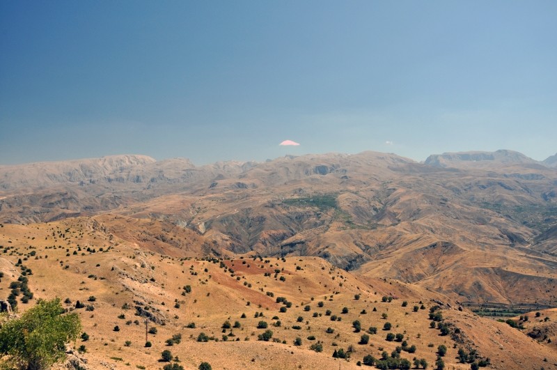 108_800x531.JPG
