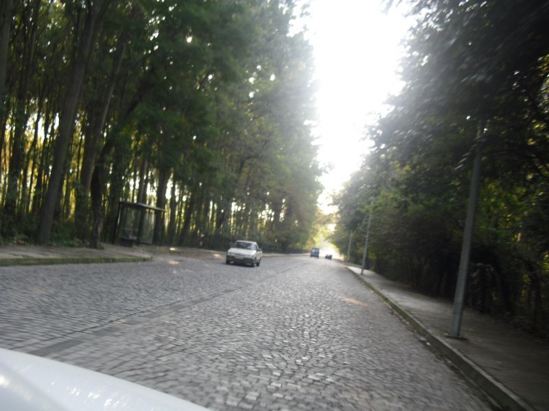 109.jpg