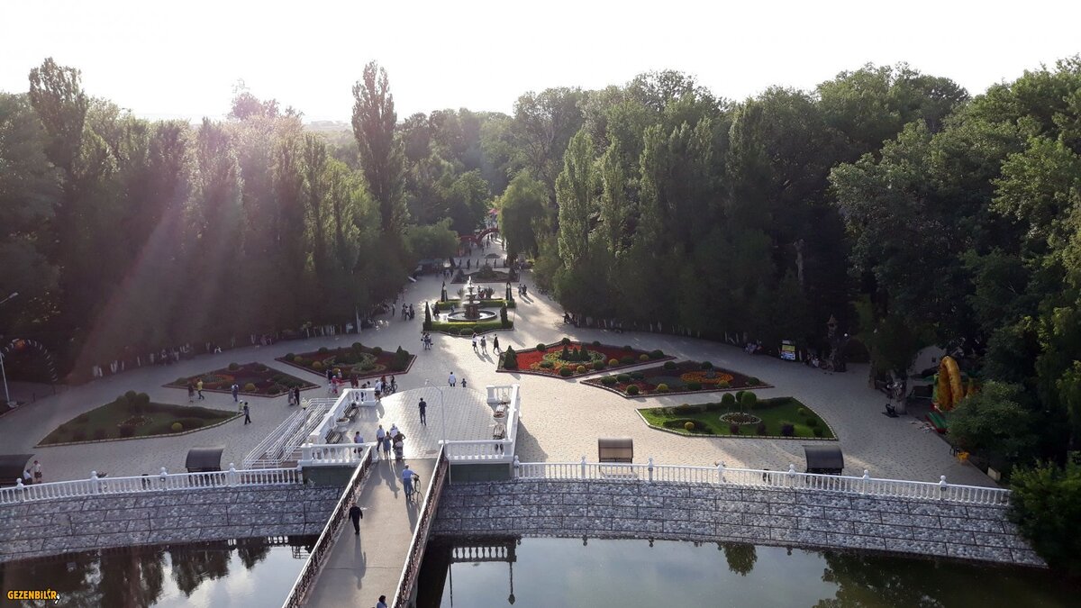 11-20180609_180916.jpg