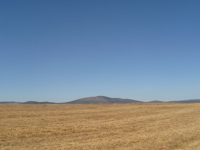 11.JPG
