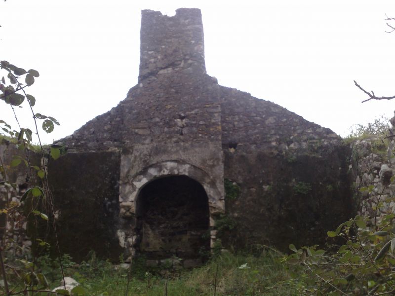 110120104548.jpg