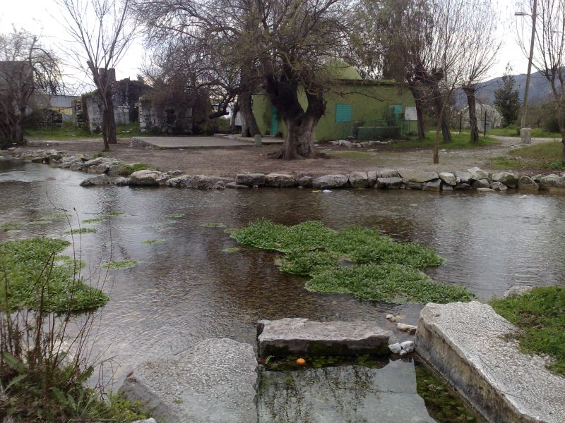 110120104572.jpg