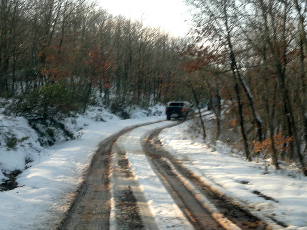11022012202.jpg