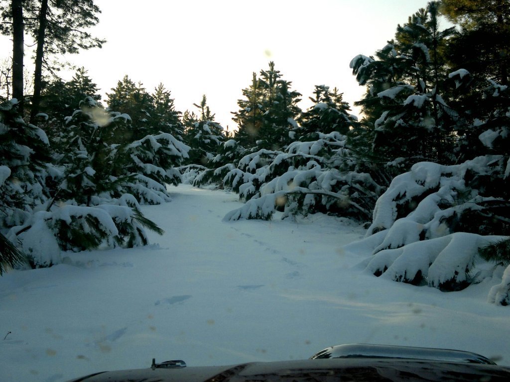 11022012214.jpg