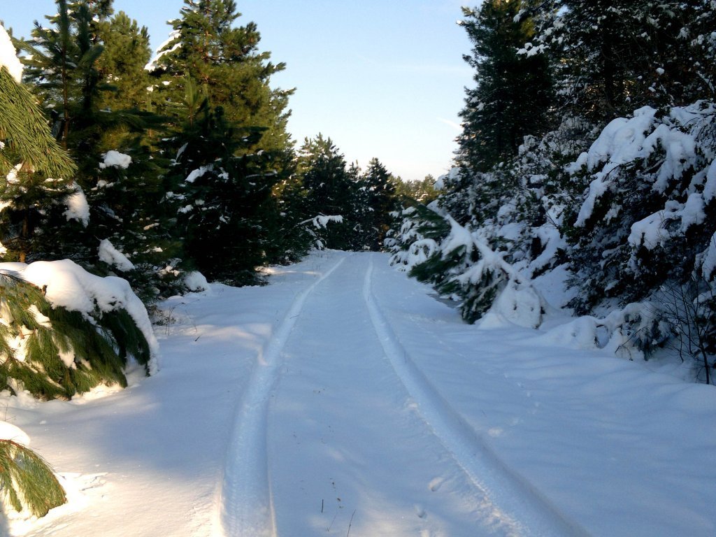11022012215.jpg