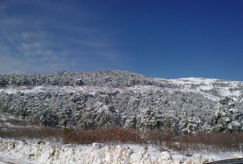 11032011307.jpg