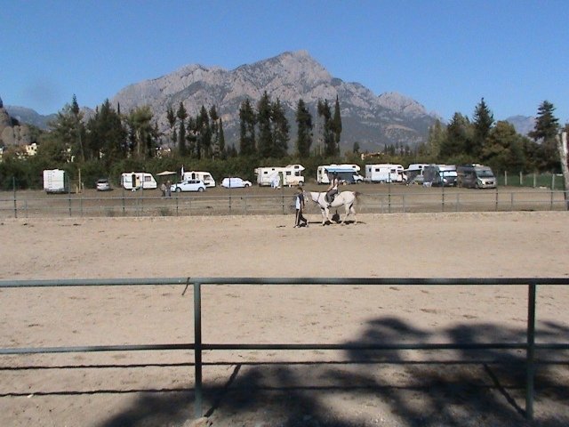 111106 Berke Ranch (12).JPG