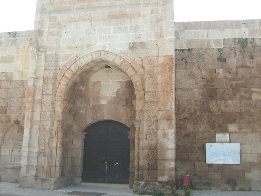 113.JPG