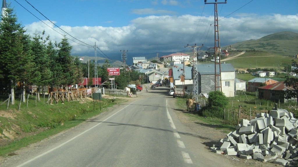 114.JPG