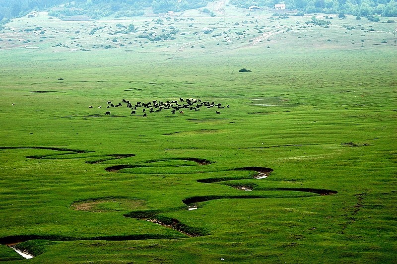 1182526-tarakli-karagol-yaylasi.jpg