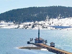 119580.jpg