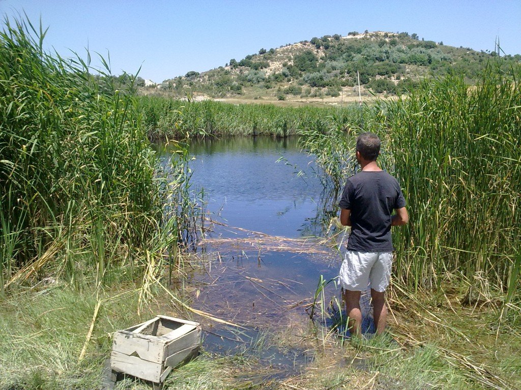 12.07.2011 (104).jpg