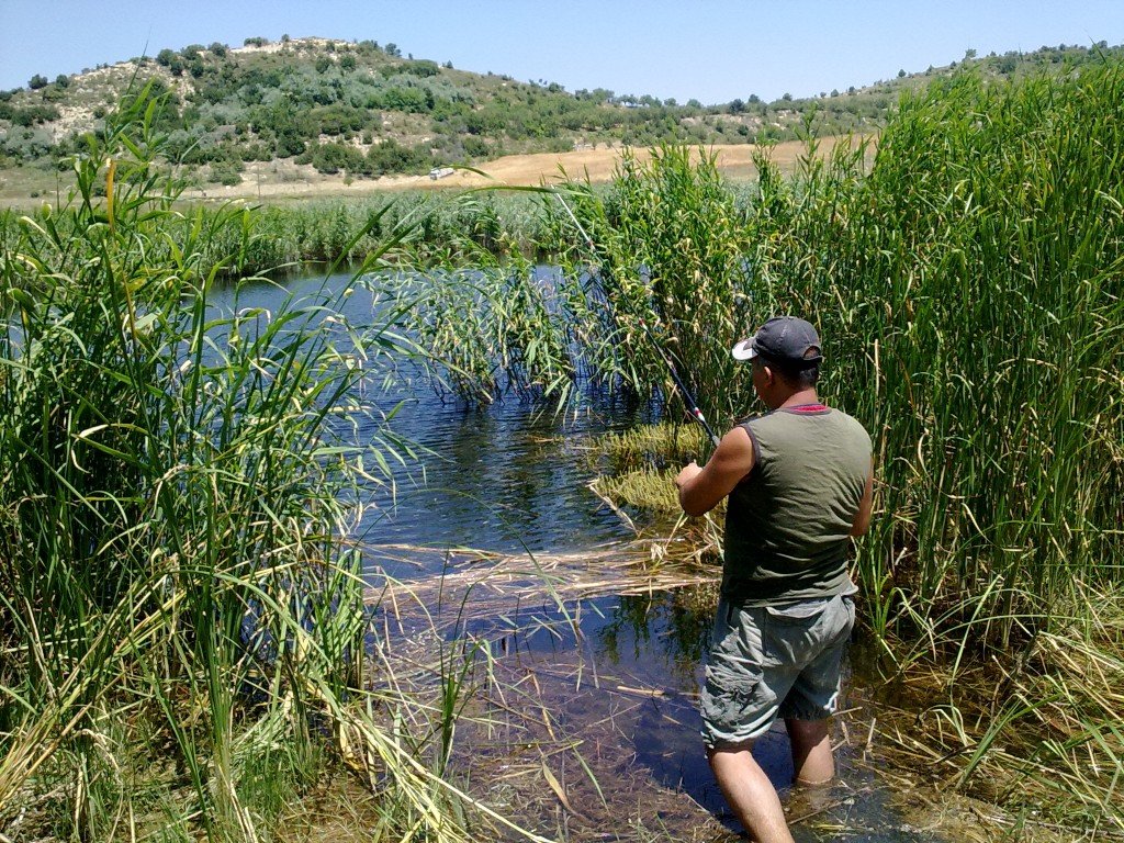 12.07.2011 (105).jpg