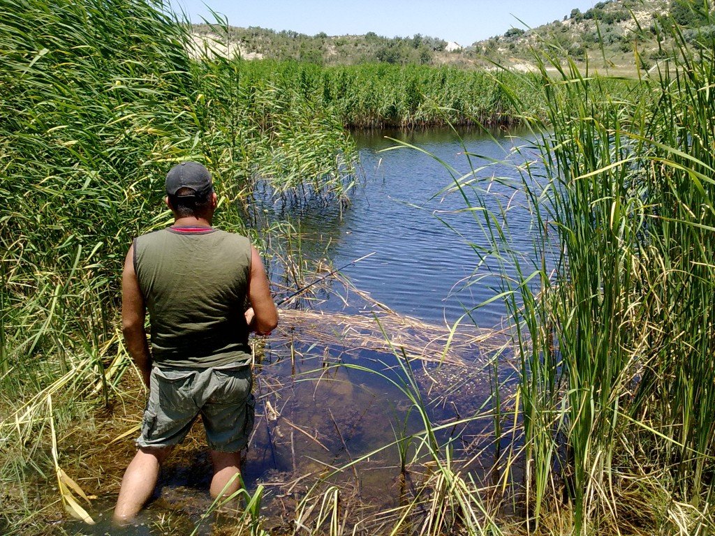 12.07.2011 (106).jpg